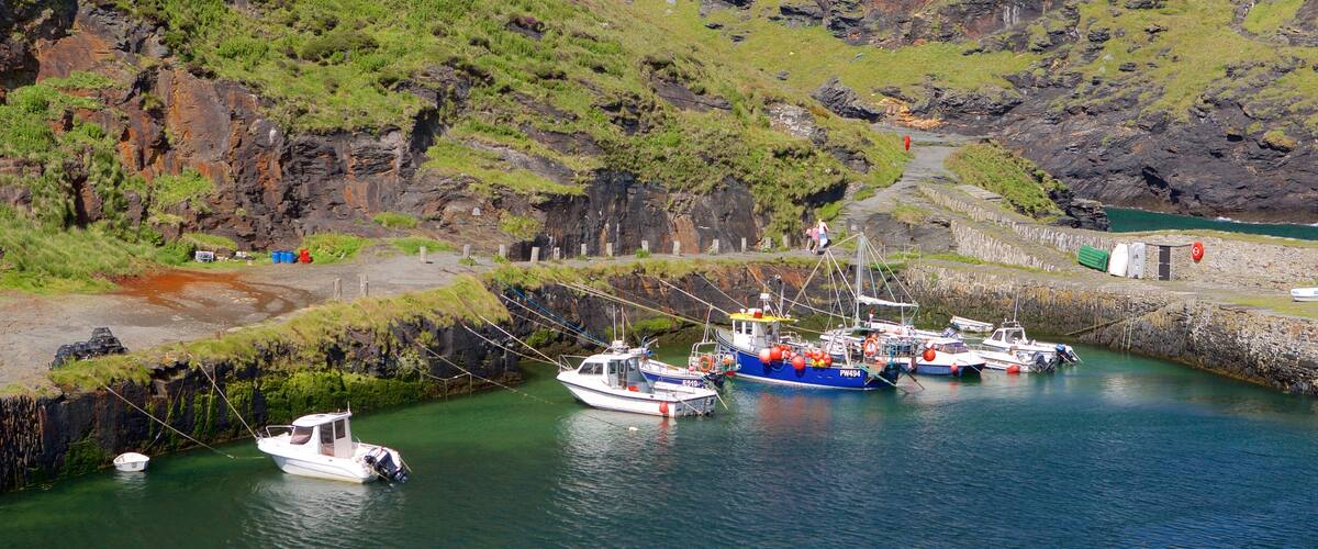 Boscastle caracterizando canoagem, uma baía ou porto e paisagens litorâneas