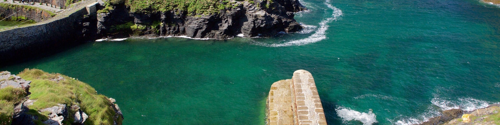 Boscastle showing rugged coastline and general coastal views