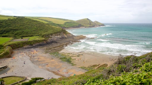 Crackington Haven bevat landschappen en een zandstrand