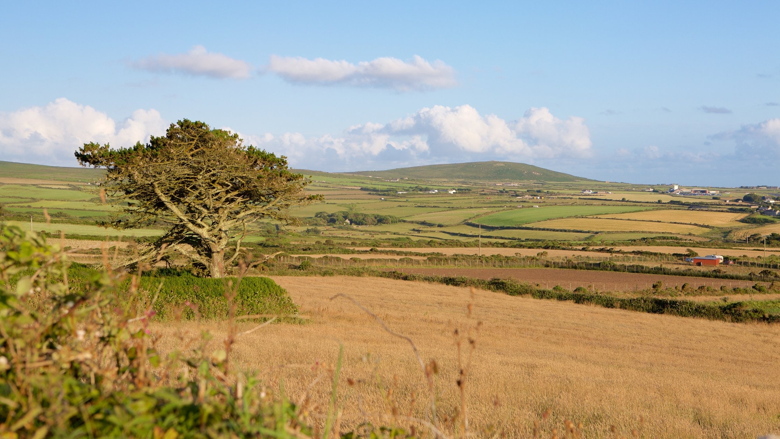 Cornwall showing landscape views and farmland
