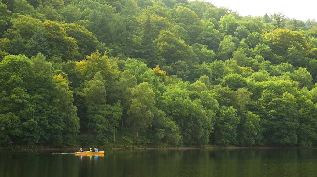 Grasmere showing kayaking or canoeing and forest scenes