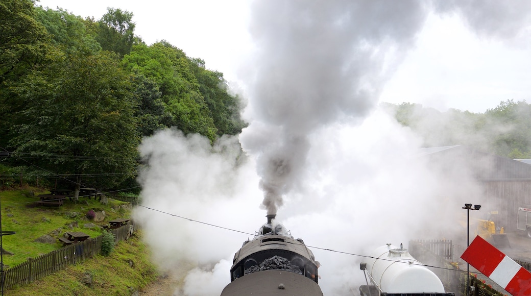 Lakeside caratteristiche di ferrovia