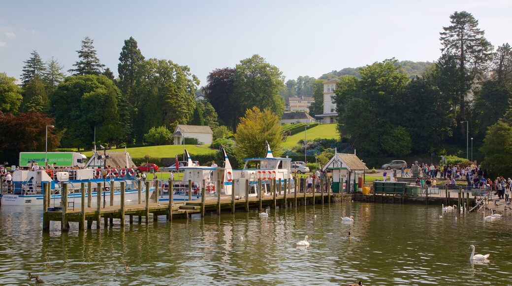 Bowness-on-Windermere qui includes vues littorales, navigation et vie des oiseaux