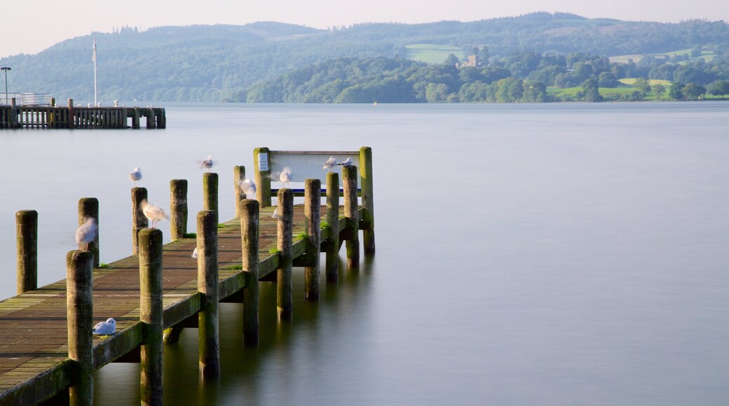 Ambleside che include laghetto e ponte