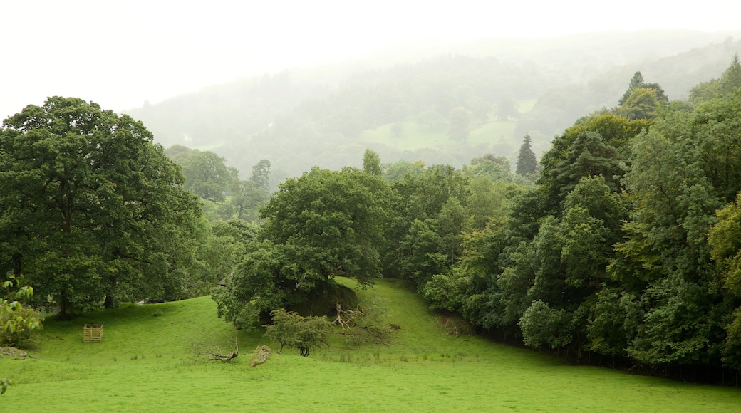 Lake District National Park showing a park and mist or fog