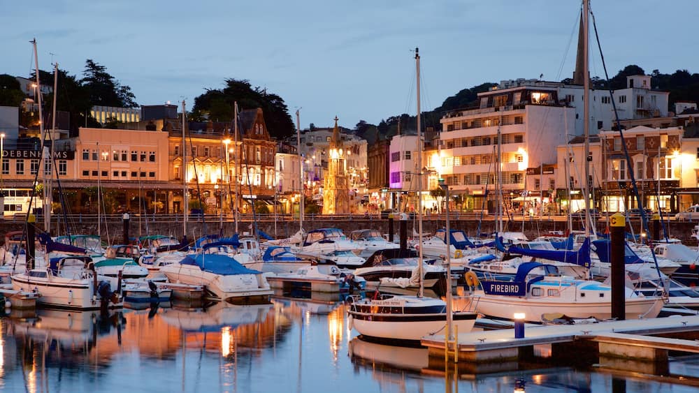 Torquay showing a marina, night scenes and boating
