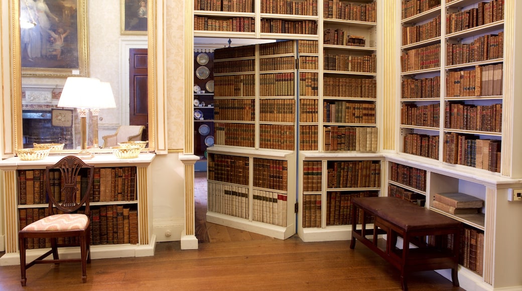 Powderham Castle featuring interior views