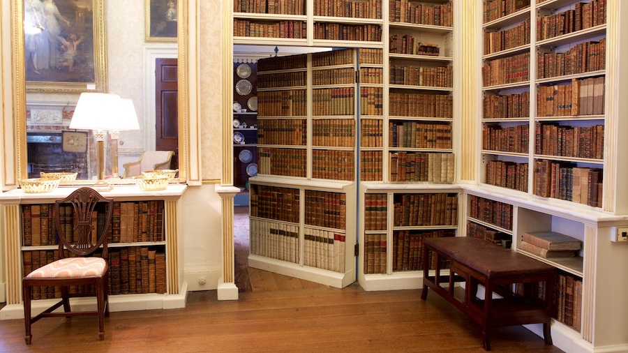 Powderham Castle which includes interior views