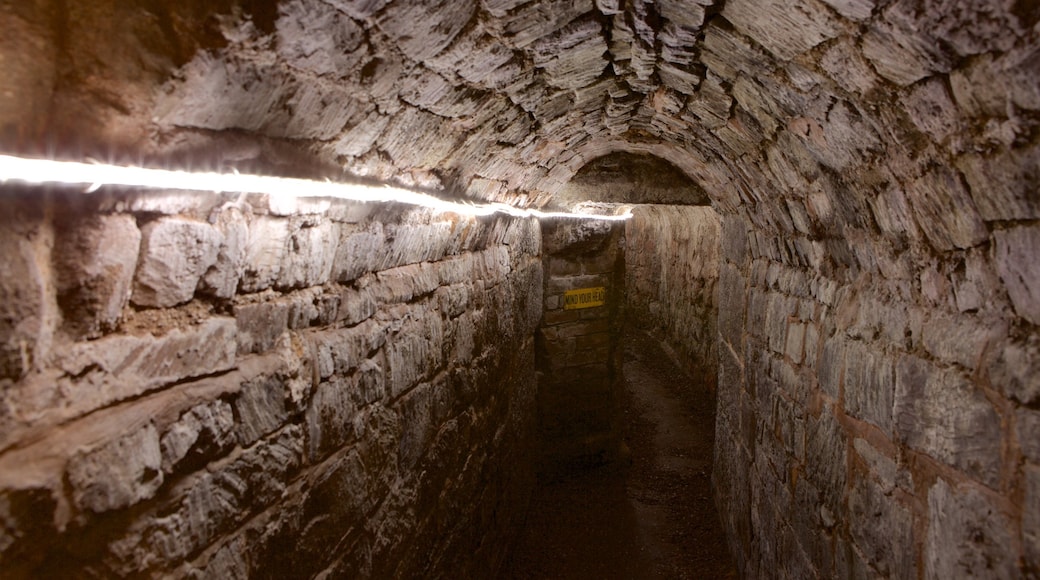 Exeter showing interior views