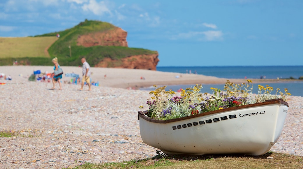 Budleigh Salterton showing boating, a pebble beach and flowers