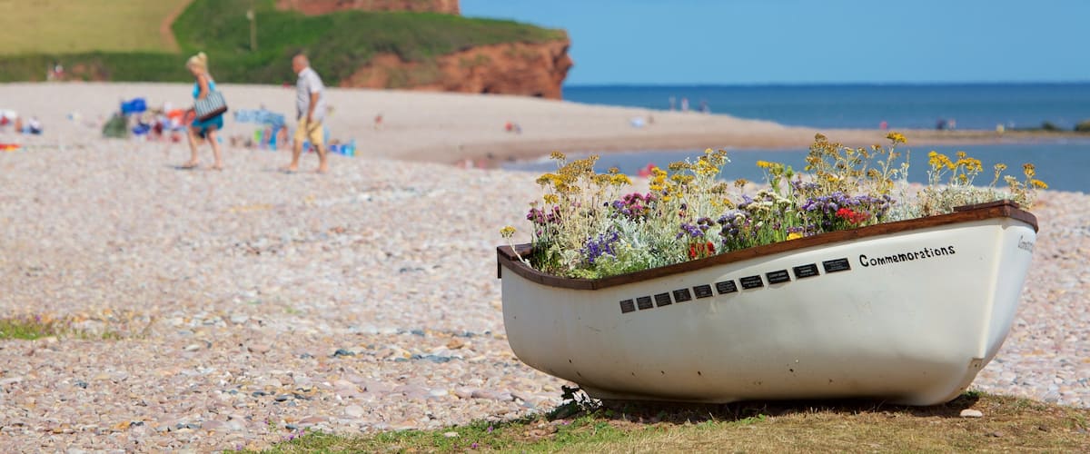 Budleigh Salterton featuring flowers, a pebble beach and boating