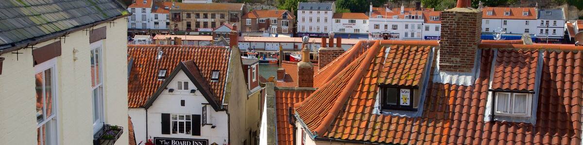 Whitby mit einem Straßenszenen und Kleinstadt oder Dorf sowie große Menschengruppe