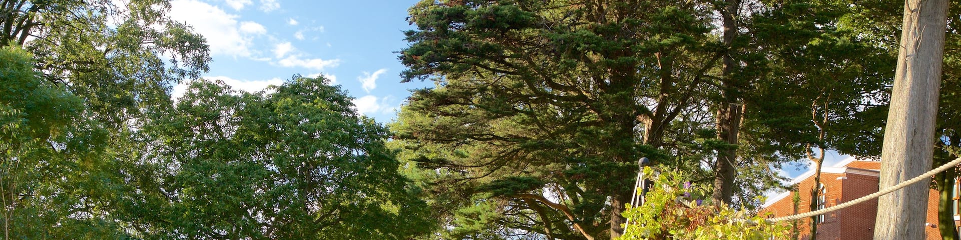 Whitby showing a garden