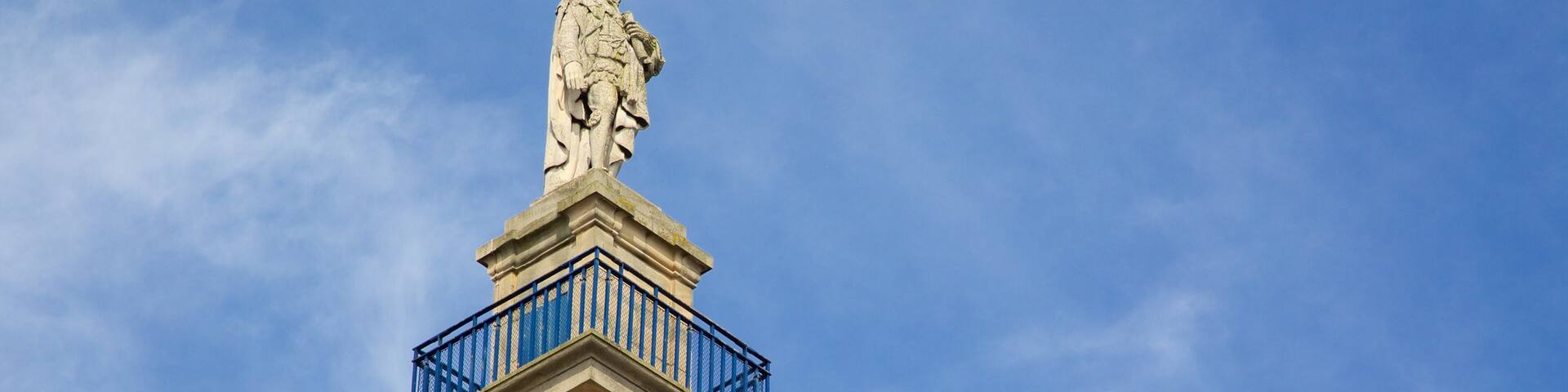 Grey\'s Monument showing a statue or sculpture, skyline and heritage architecture