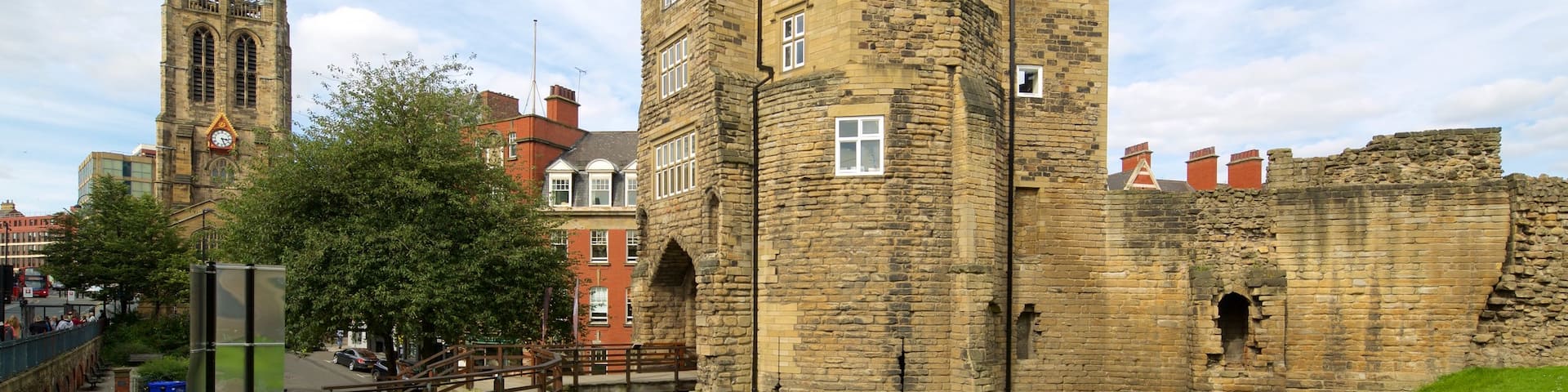 Castle Keep showing a city and heritage architecture
