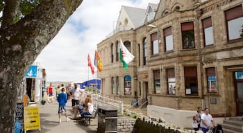 Newquay showing a coastal town, shopping and heritage architecture