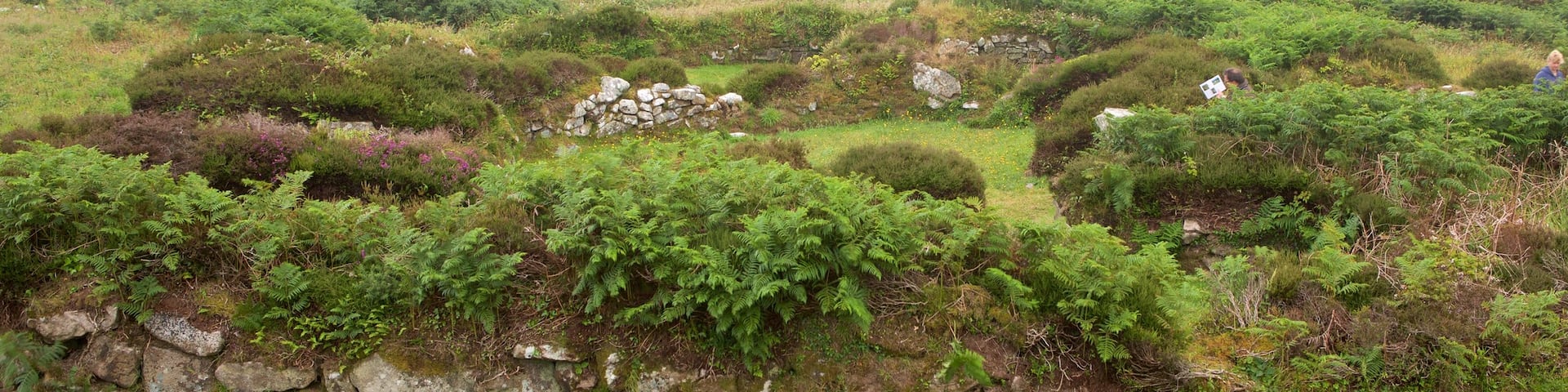 Chysauster Ancient Village which includes tranquil scenes