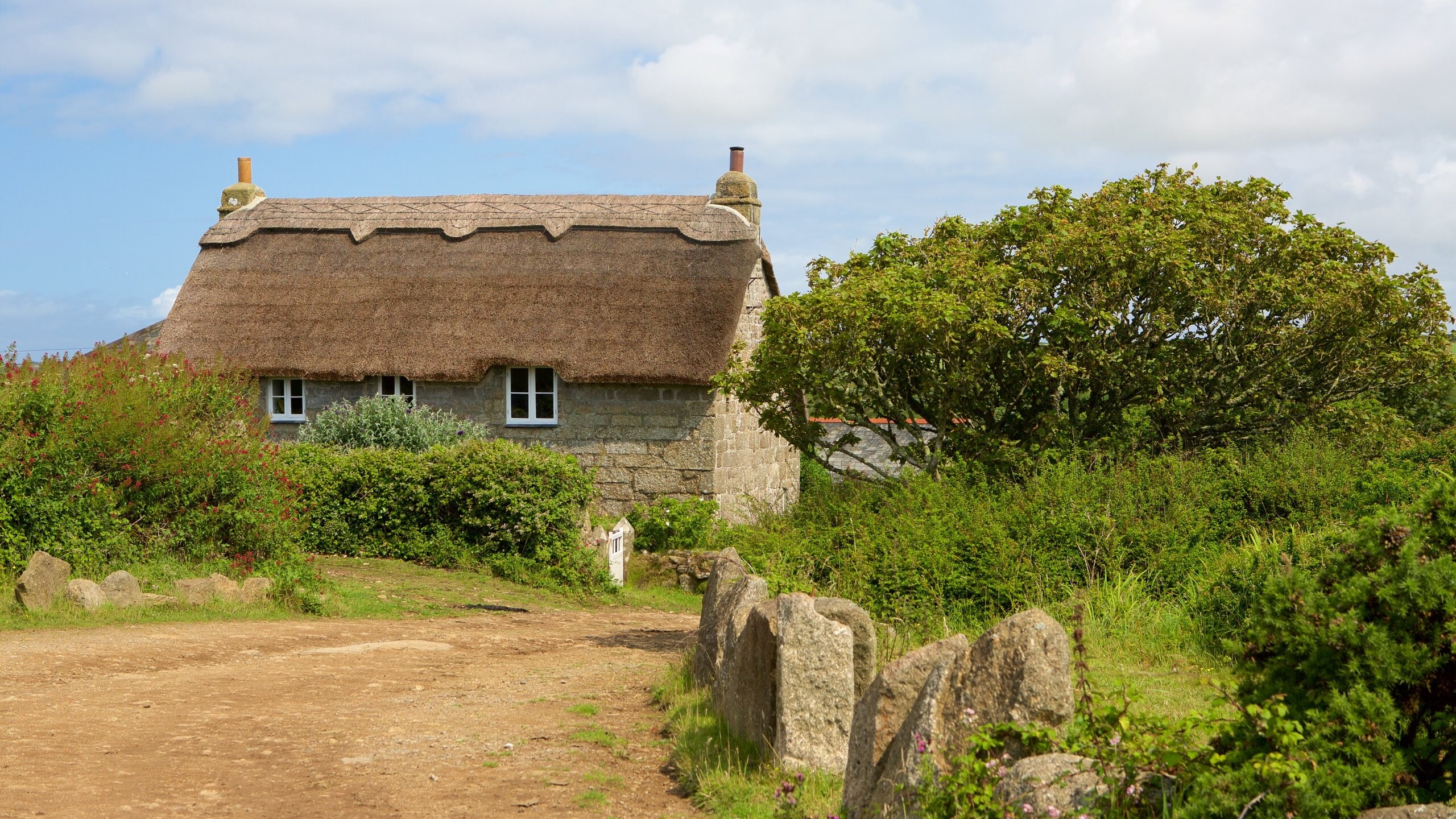 Penzance showing a coastal town and a house