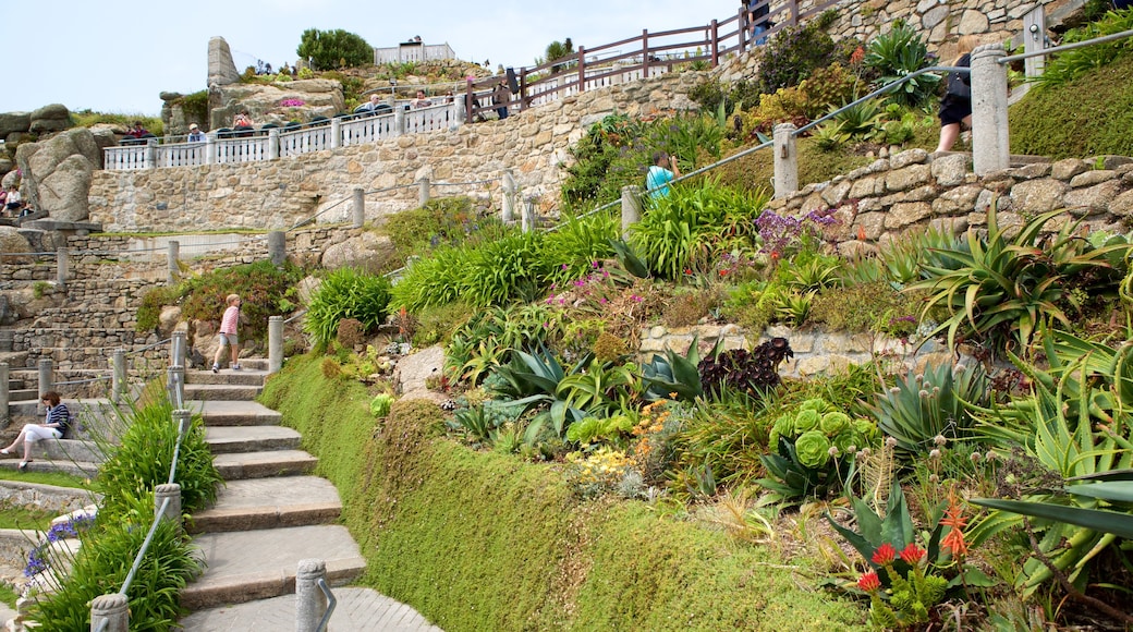 Minack Theatre showing a garden