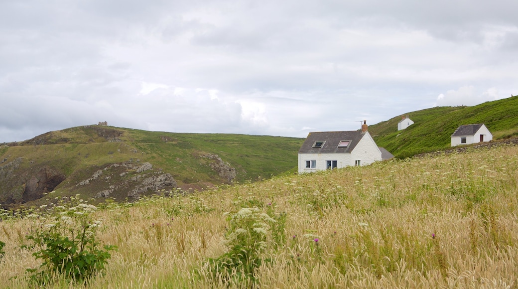 Cape Cornwall which includes a house and farmland