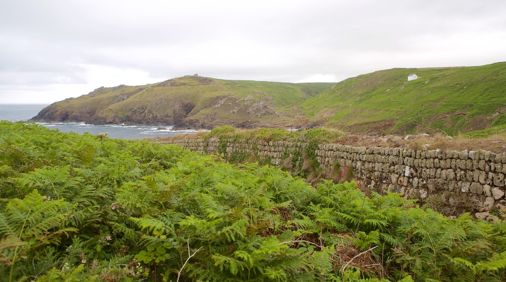 Cape Cornwall que incluye vista panorámica y vista general a la costa