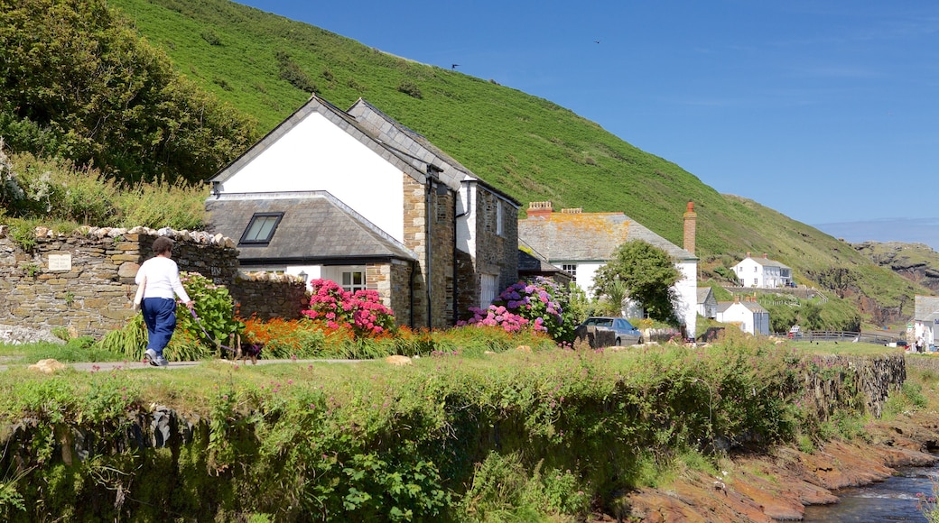 Boscastle presenterar ett hus, en å eller flod och en kuststad