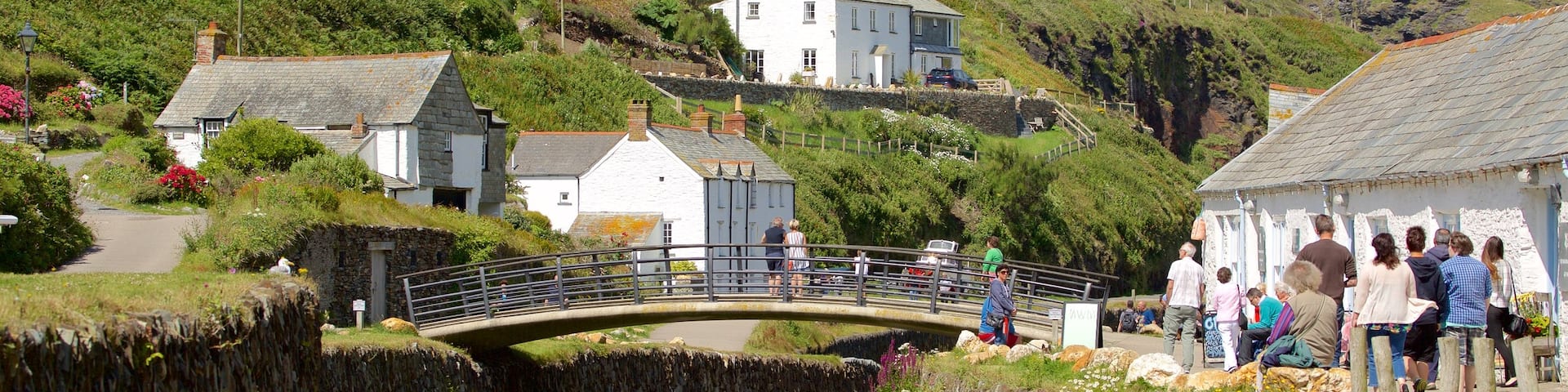 Boscastle which includes a coastal town, a river or creek and a bridge