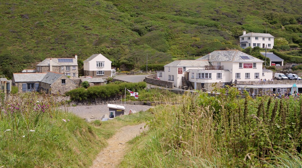 Crackington Haven bevat een kuststadje en een huis