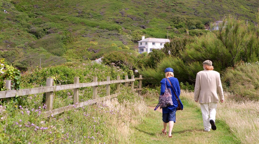 Crackington Haven featuring a coastal town as well as a small group of people