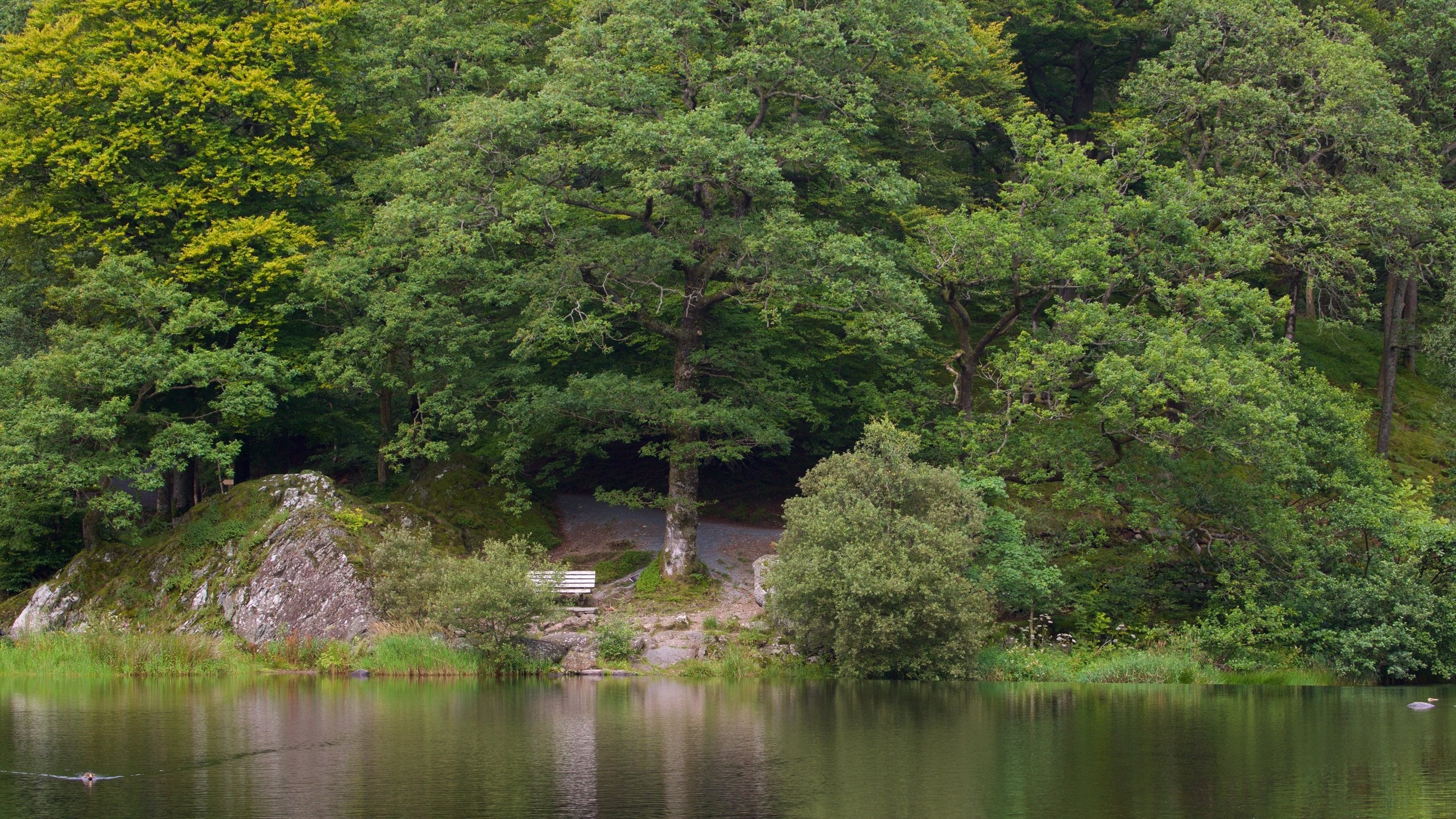 Grasmere, Ambleside Vacation Rentals chalet rentals & more Vrbo