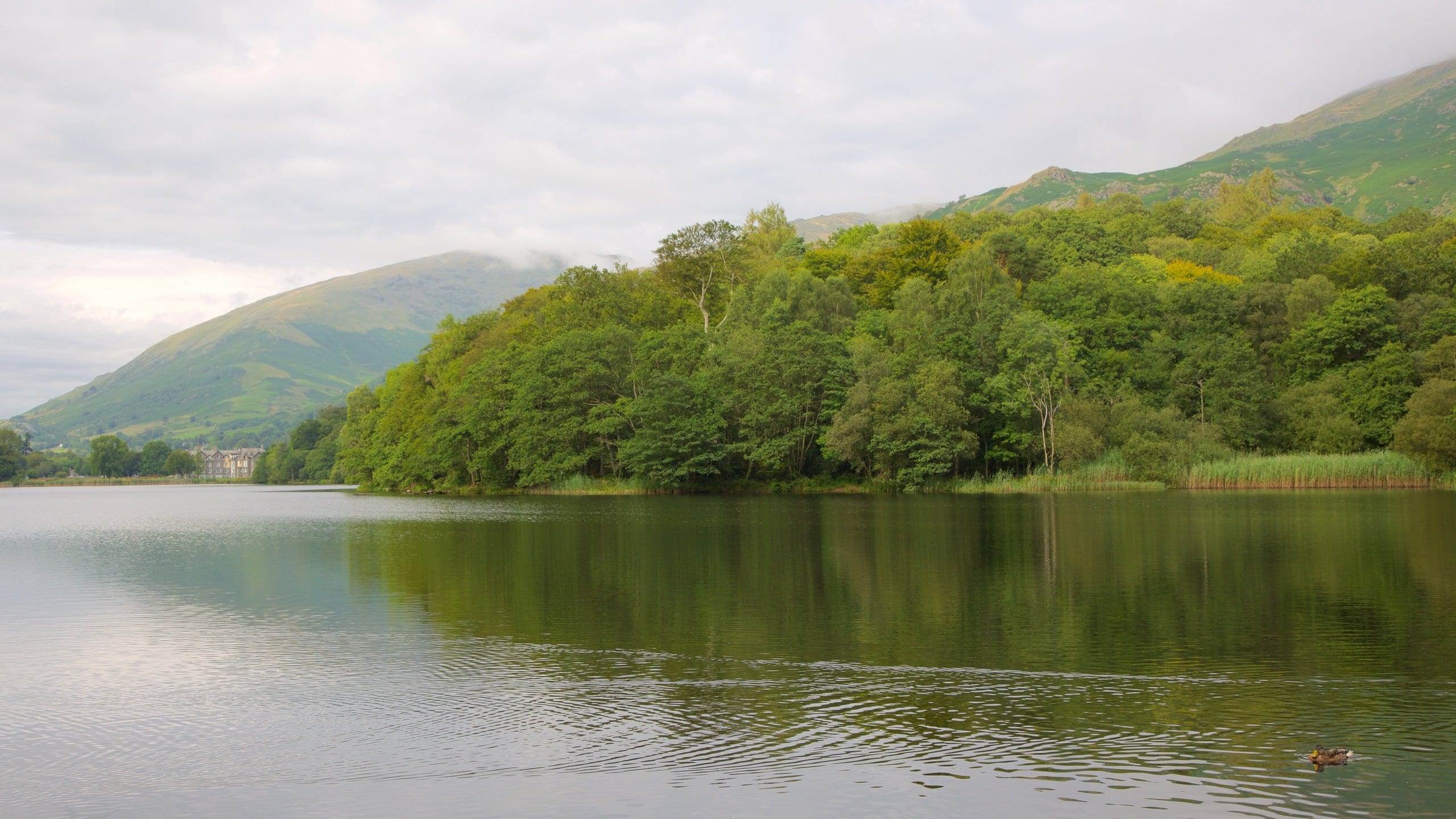 Top 20 Grasmere, Ambleside lake vacation rentals Vrbo