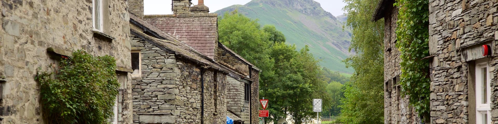 Grasmere showing street scenes, a house and a small town or village