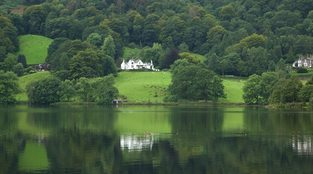 Grasmere featuring a lake or waterhole and forests