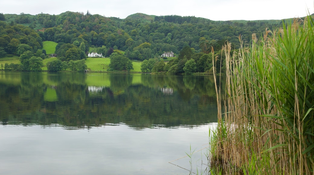 Grasmere que incluye paisajes forestales y un lago o laguna