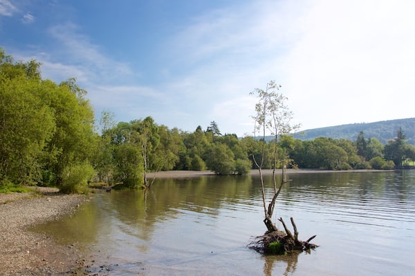 Coniston Water mettant en vedette plage de galets et lac ou étang