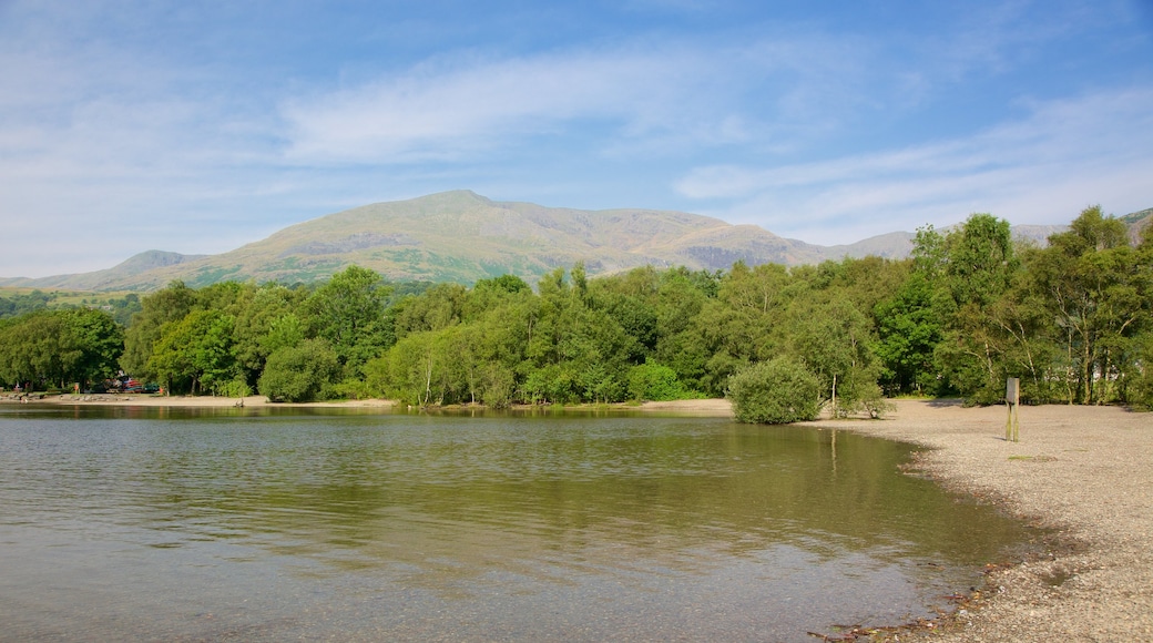 Coniston Water showing a pebble beach and forests