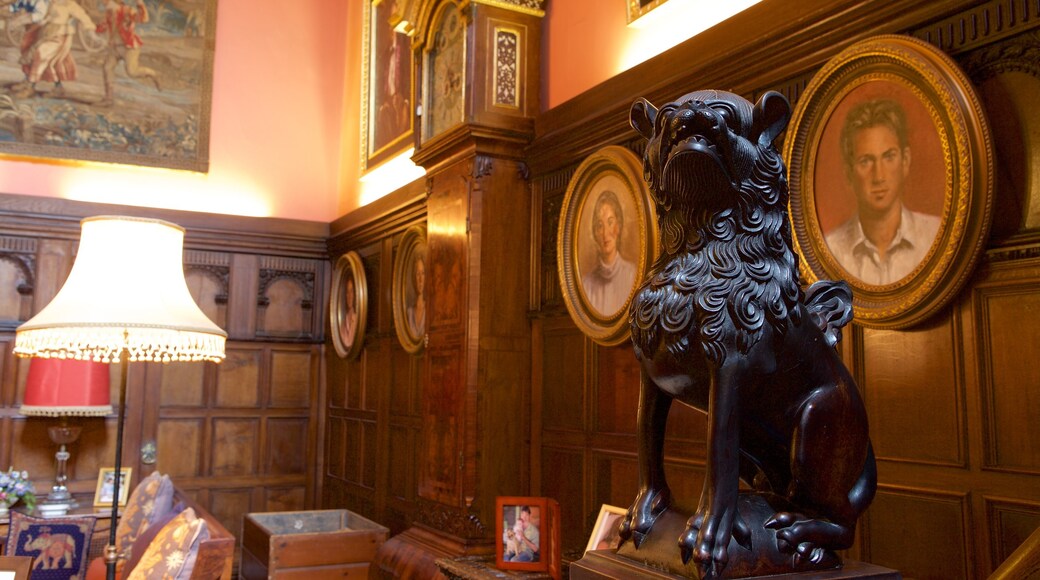 Powderham Castle showing interior views