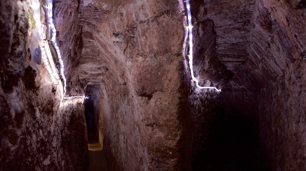 Exeter showing interior views