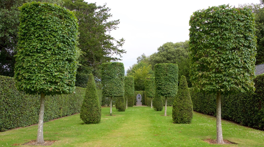 Mt. Edgcumbe caracterizando um jardim