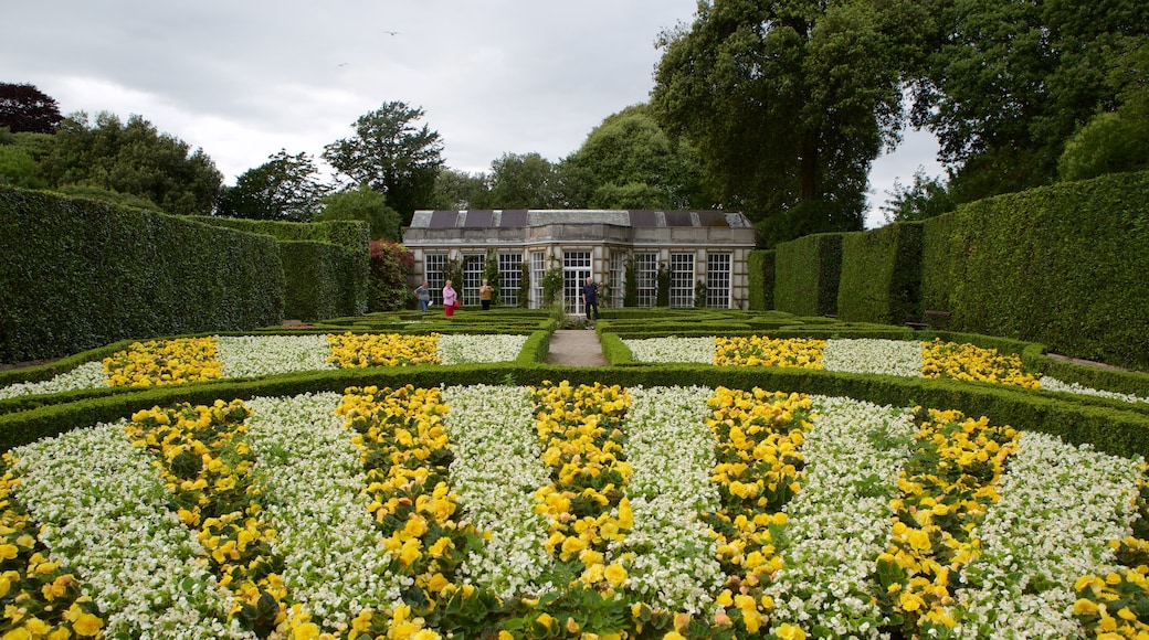 Mt. Edgcumbe bevat een park en bloemen