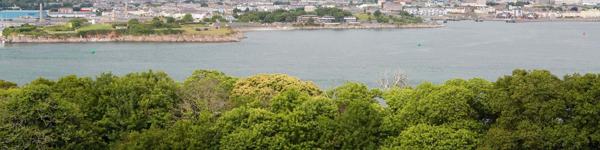 Mt. Edgcumbe showing general coastal views and a coastal town
