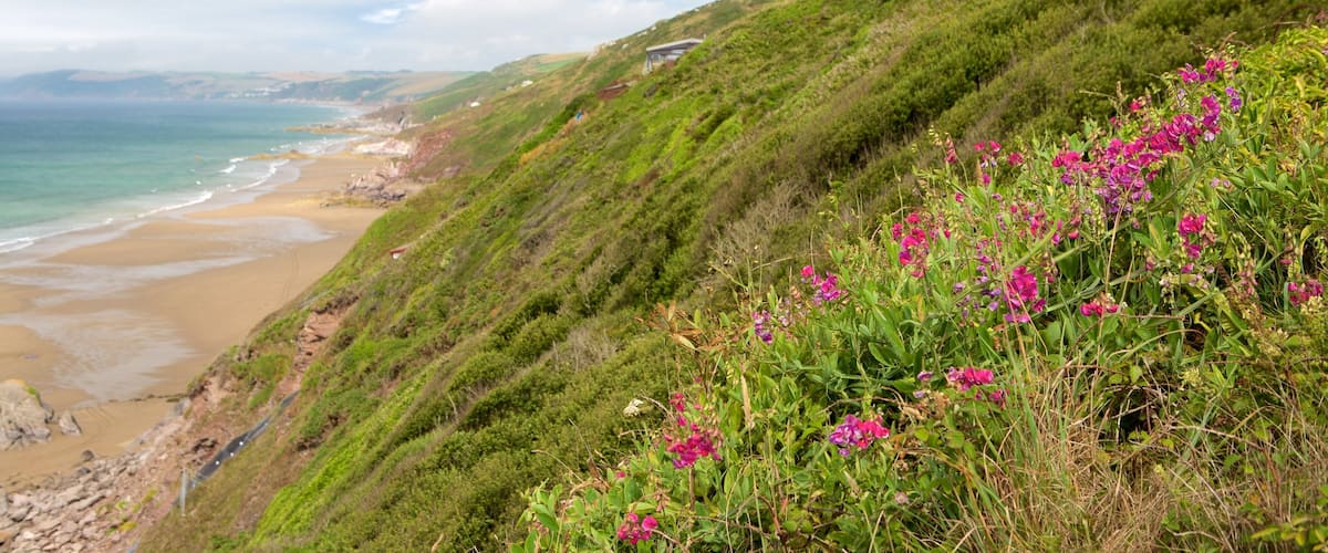 Whitsand Bay Beach featuring flowers and a beach
