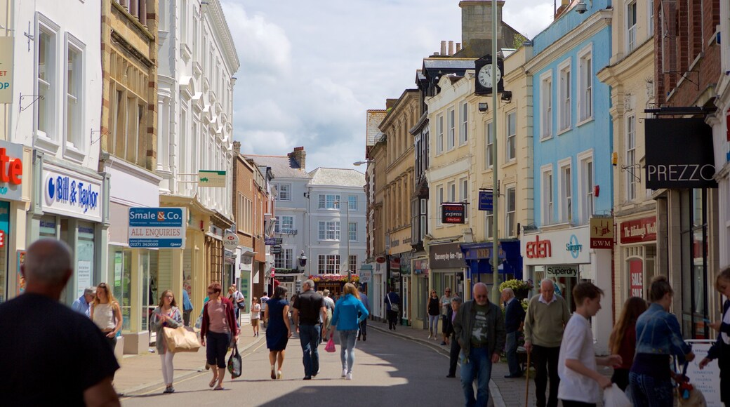 Barnstaple featuring a city, street scenes and signage