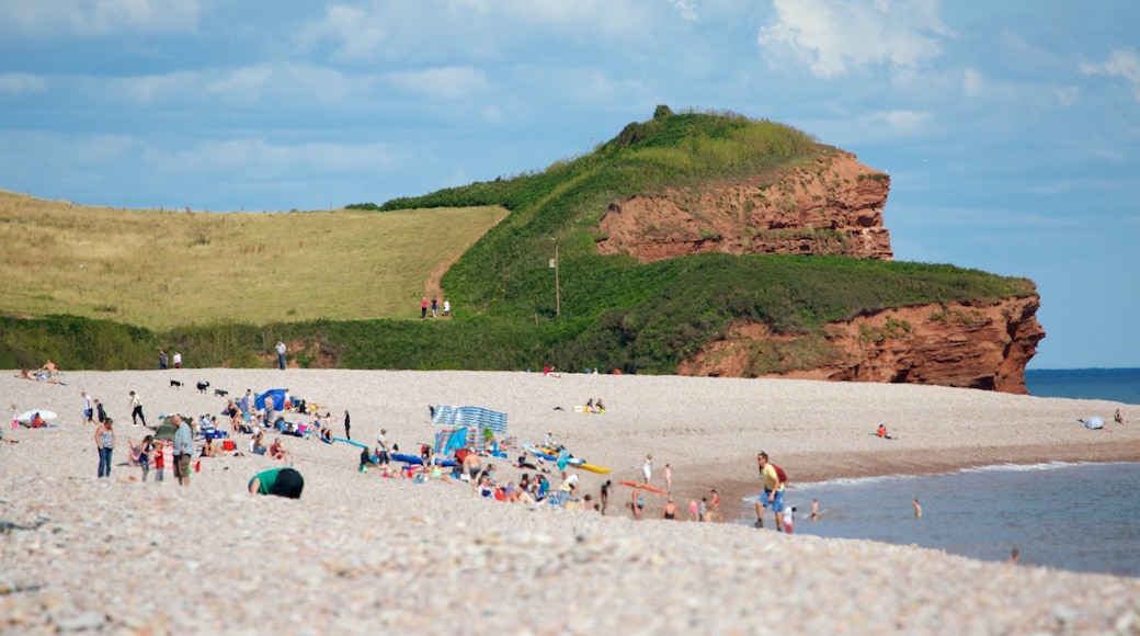 Budleigh Salterton which includes a sandy beach and rocky coastline as well as a large group of people