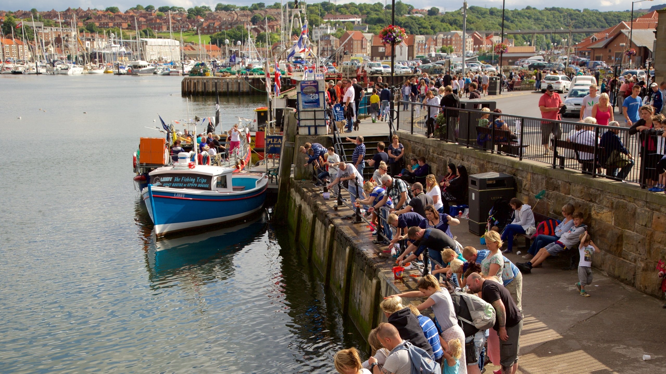 Whitby featuring a coastal town, views and a marina