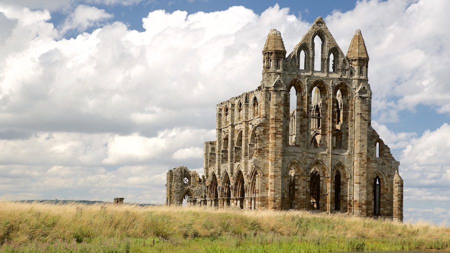 Whitby Abbey inclusief een kerk of kathedraal en historische architectuur