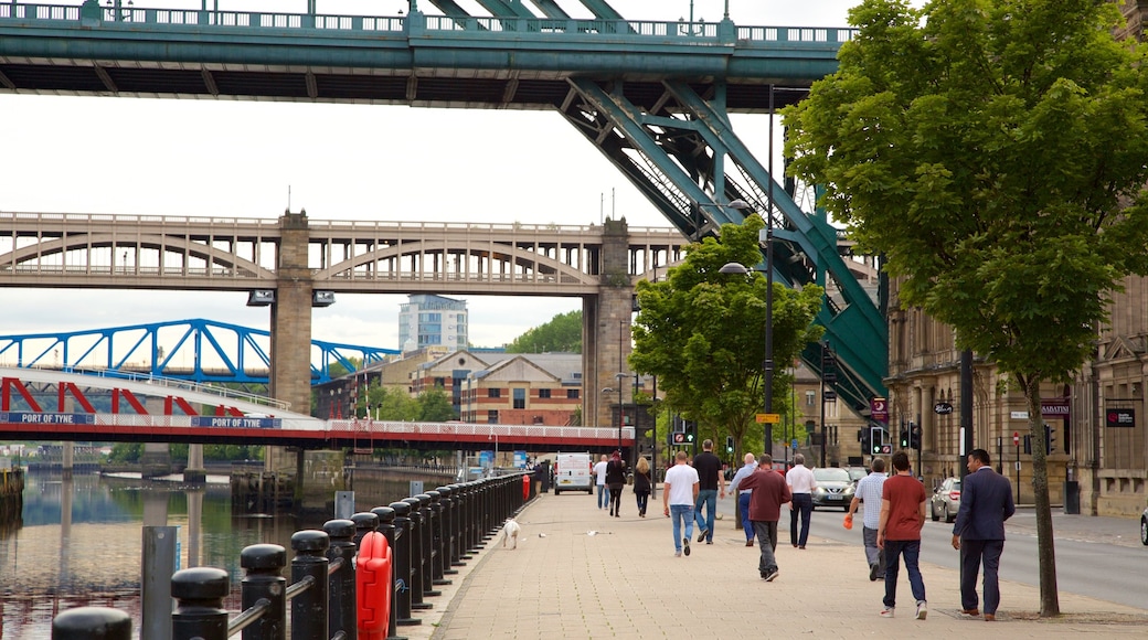 Quayside mostrando un río o arroyo, escenas urbanas y un puente