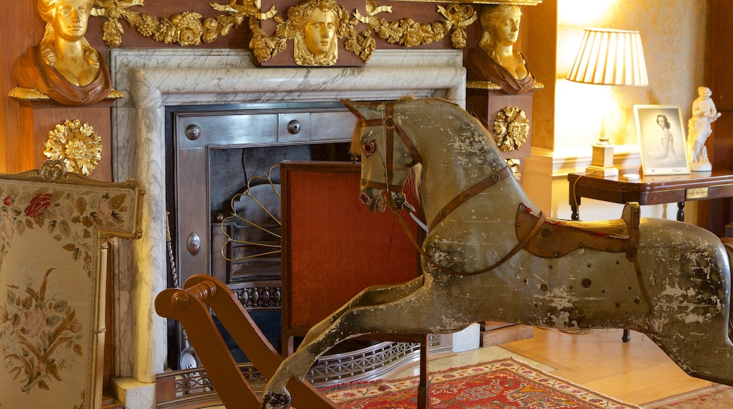 Powderham Castle showing interior views, heritage elements and chateau or palace