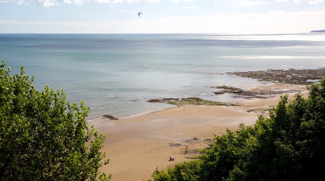 South Bay Beach som viser en strand