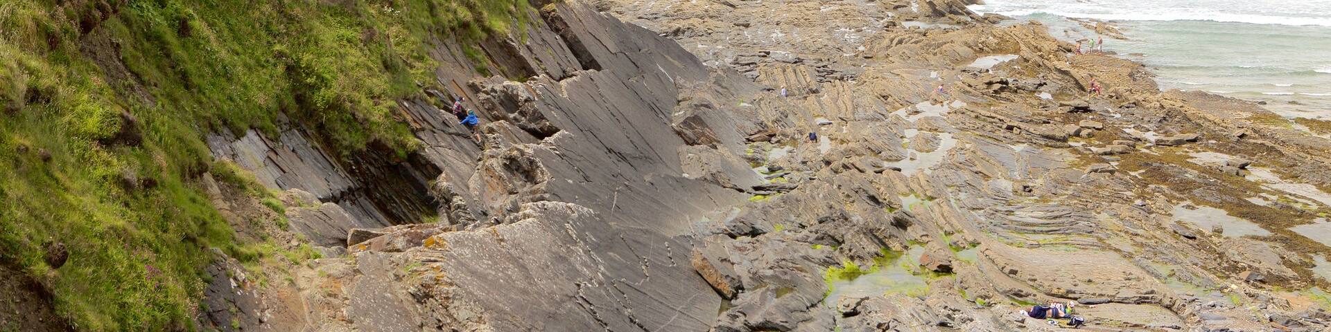 Crackington Haven which includes rocky coastline